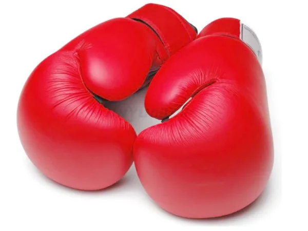 Forros de espuma para guantes de boxeo